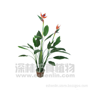 Low cost marketable fabric&silk Strelitzia reginae